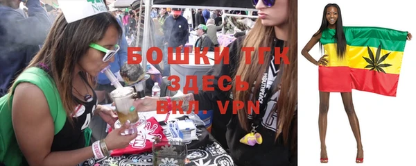 сатива Пересвет